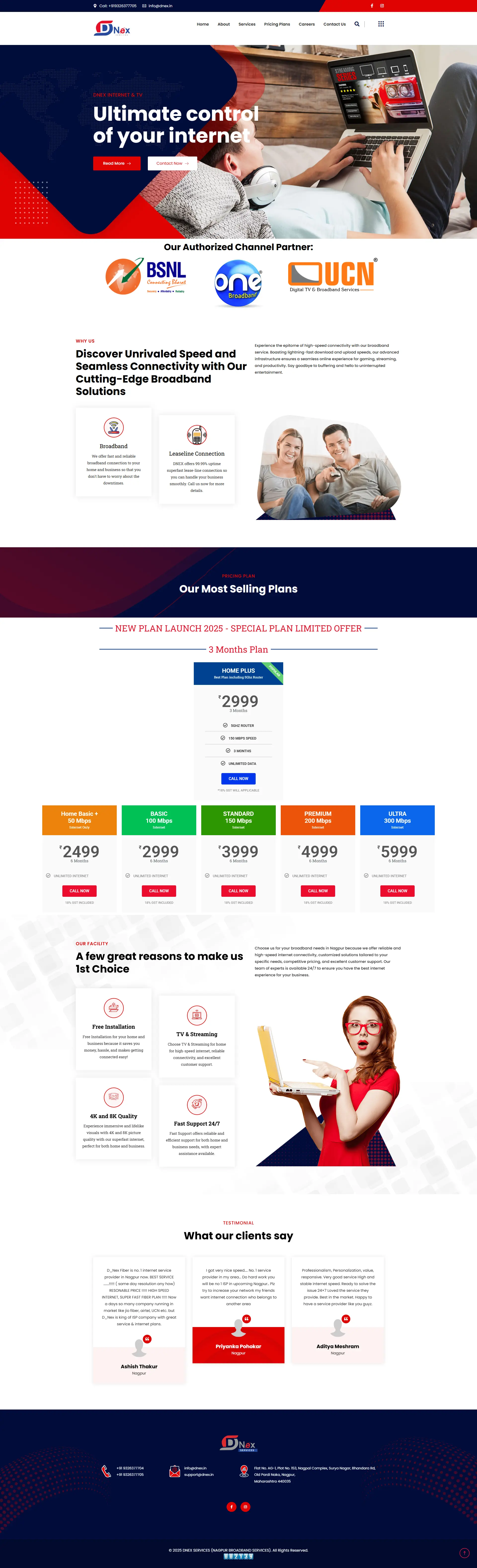 D-Nex Solutions Website Screenshot